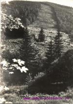 Harrachov