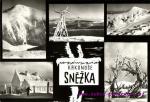 Sněžka