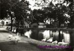 Tehovec