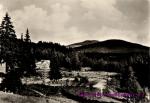 Harrachov