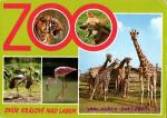Zoo- Dvůr Králové nad Labem