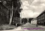 Litvínov- Stalingradská třída