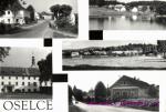 Oselce