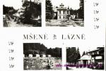 Mšené