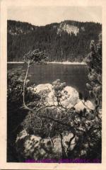 Plešné jezero
