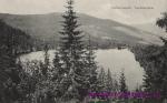 Šumava