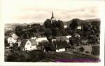Zubří