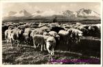 Tatry
