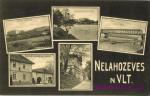 Nelahozeves