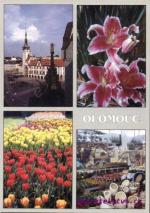 Flora Olomouc