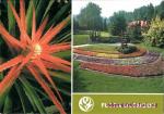 Flora Olomouc