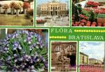 Bratislava- Flora