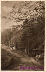 Pohled do Křížové cesty