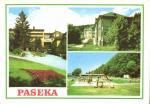 Paseka