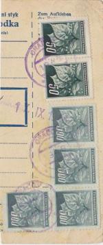 1945 provizorní razítko Oráčov