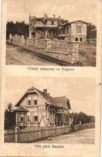 Vojkov