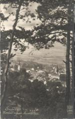 Sušice