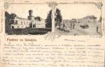 Sokolnice