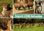 Zoo Lešná