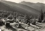 Nízké Tatry- Jasná