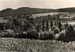 Čenkov
