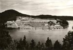Cholín