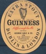 Extra Stout Guinness