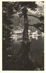 Popradské pleso