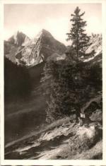 Tatry