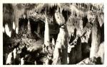 Nízké Tatry, Demanovské jeskyně