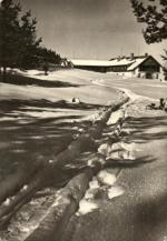 Šumava - Stachy