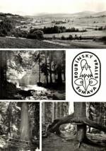 Boubínský prales - Šumava