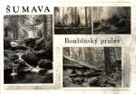 Šumava - Boubínský prales 