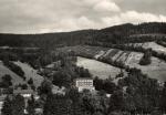 Holčovice ve Slezsku