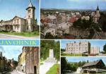 Javorník