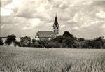 Červené Janovice, kostel