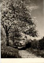 Poděbrady - zámek 
