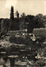 Konopiště - Růžová zahrada 