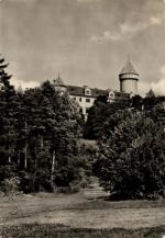 Konopiště 