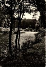 Dolní Kralovice - Želivka 