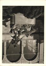 Konopiště - psovod 