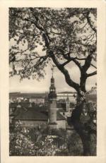 Domažlice