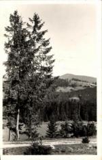 Slezské Beskydy - Lysá 