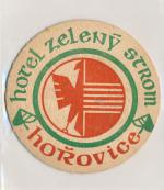 Hořovice - hotel zelený strom