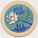 Bílá růže - RAJ Klatovy