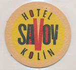 Kolín - hotel Savoy