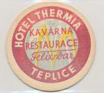 Teplice - hotel Thermia