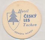 Tachov - hotel Český les, Jednota