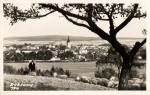 Dobřany