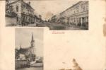 Ledvice